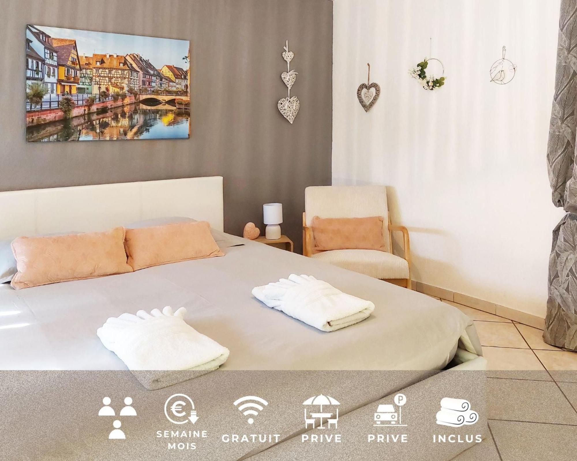 Le Cocon Appart Avec Parking Prive & Terrasse Sainte-Croix-en-Plaine Екстер'єр фото